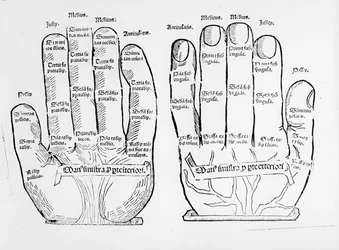 Palmistry